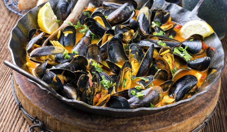 0000 Mejillones