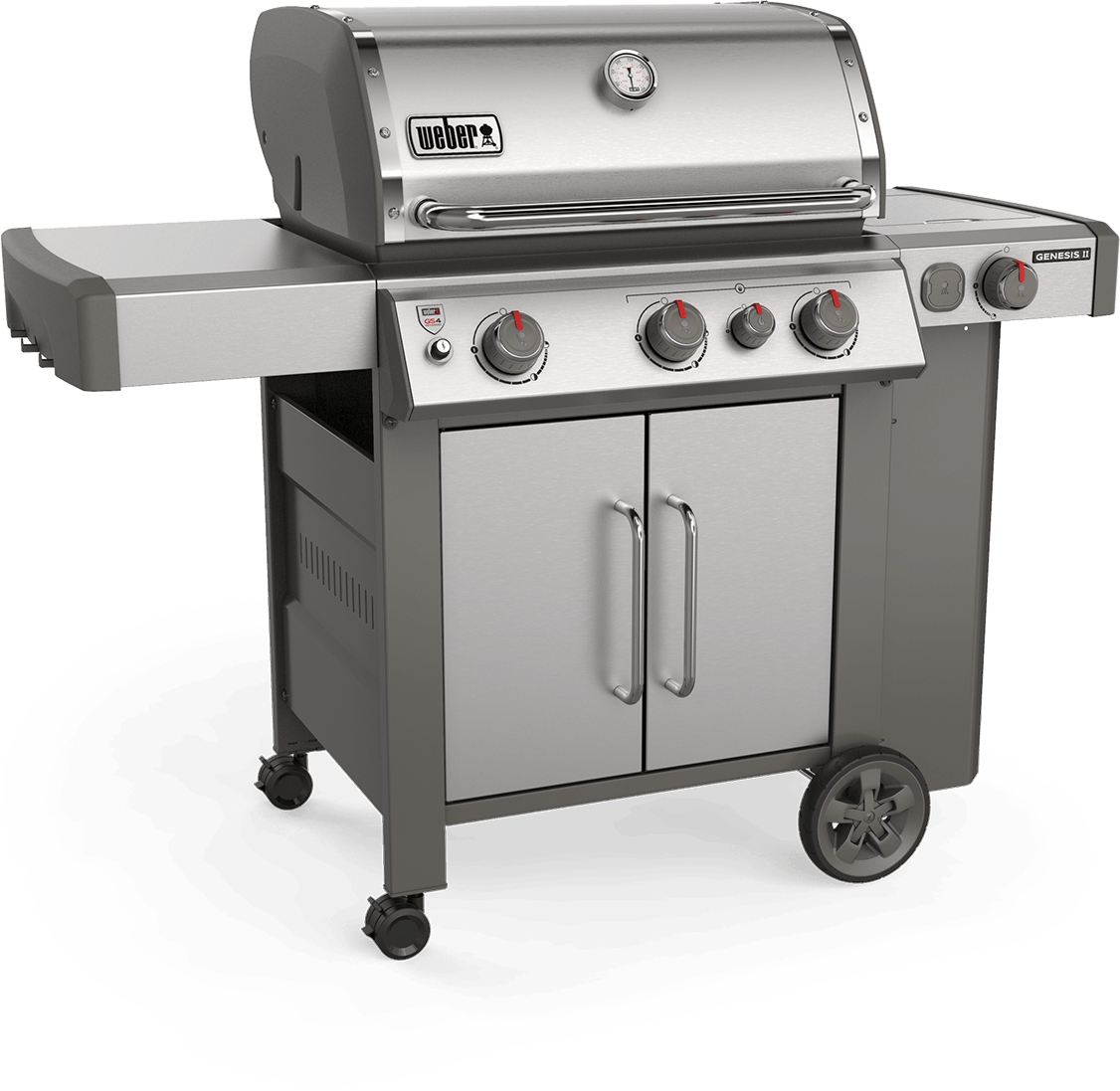 weber genesis 11 e310