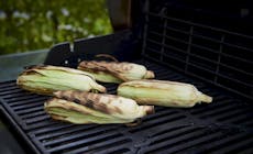 Corn On The Cob 1 Cb W 2018