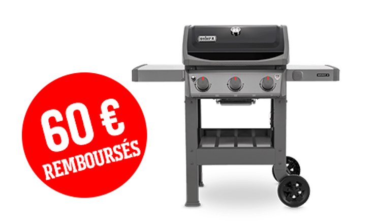 Spirit Ii E 310 Plancha