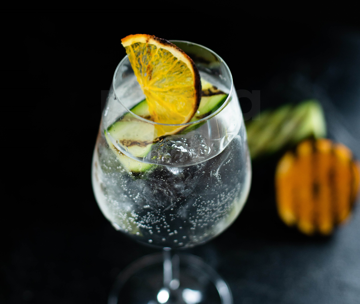 Gin Tonic 303X256