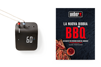 La bibbia weber del barbecue download