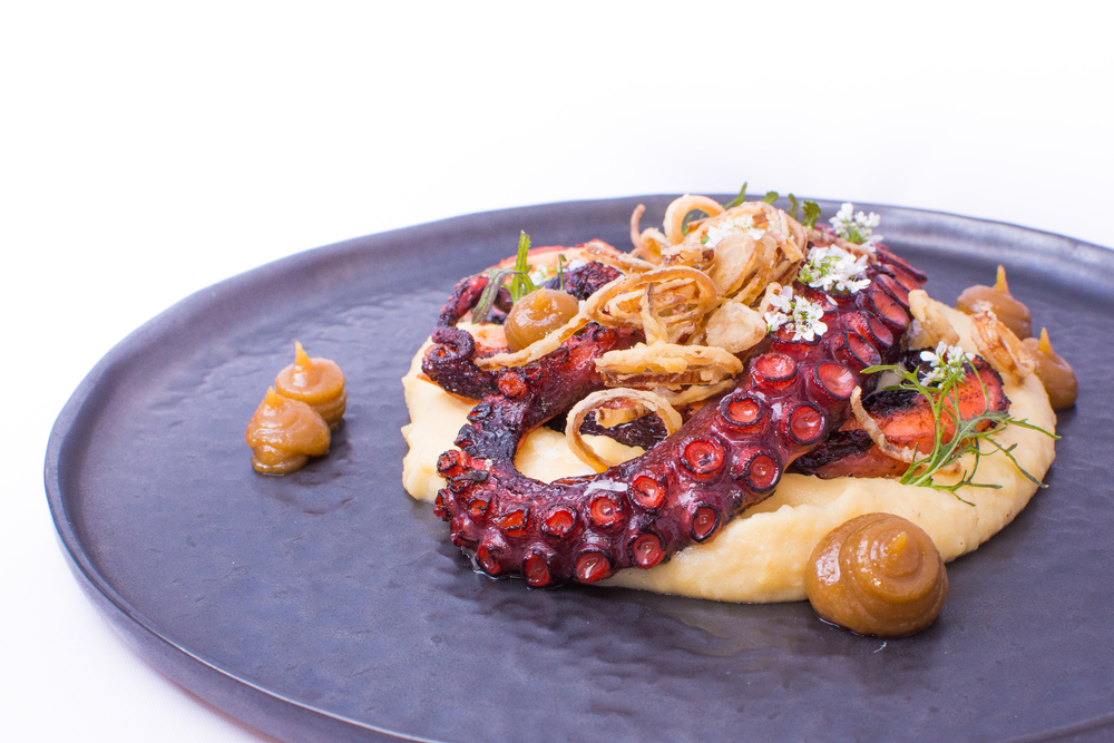 Pulpo Pure