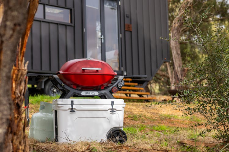 Choosing The Perfect Weber Q Barbecue For You A Comprehensive Guide