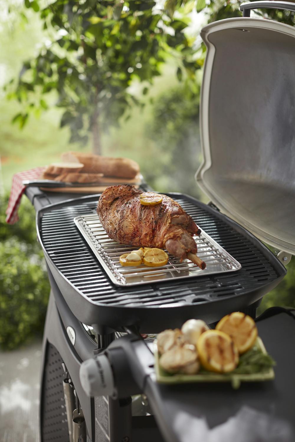 Roasting Shields Cooking Barbecue Racks And Roasters In