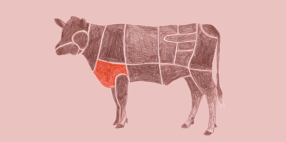 Rinderbrust | Wo sitzt das Fleischstück?