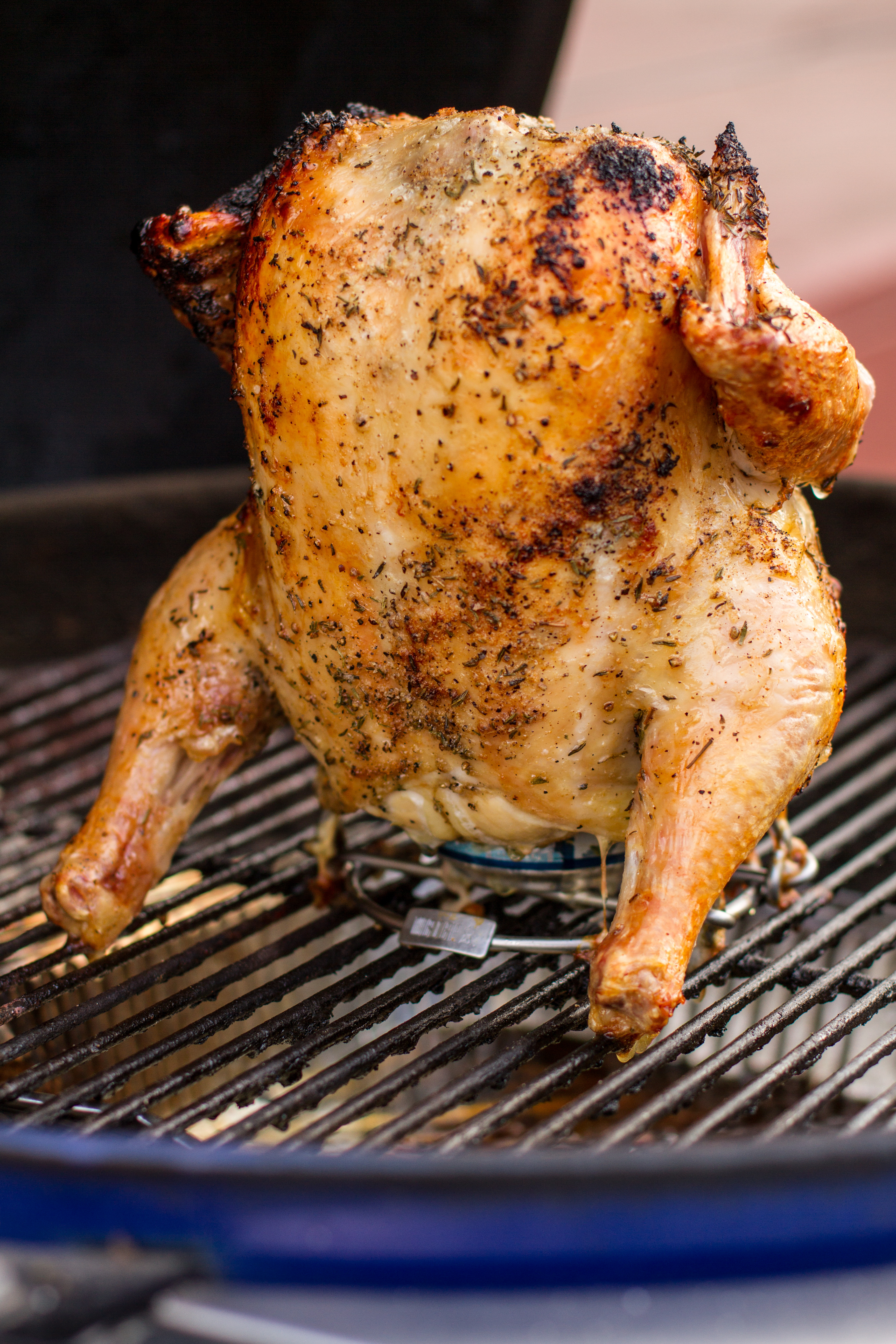 Beer can clearance chicken propane grill