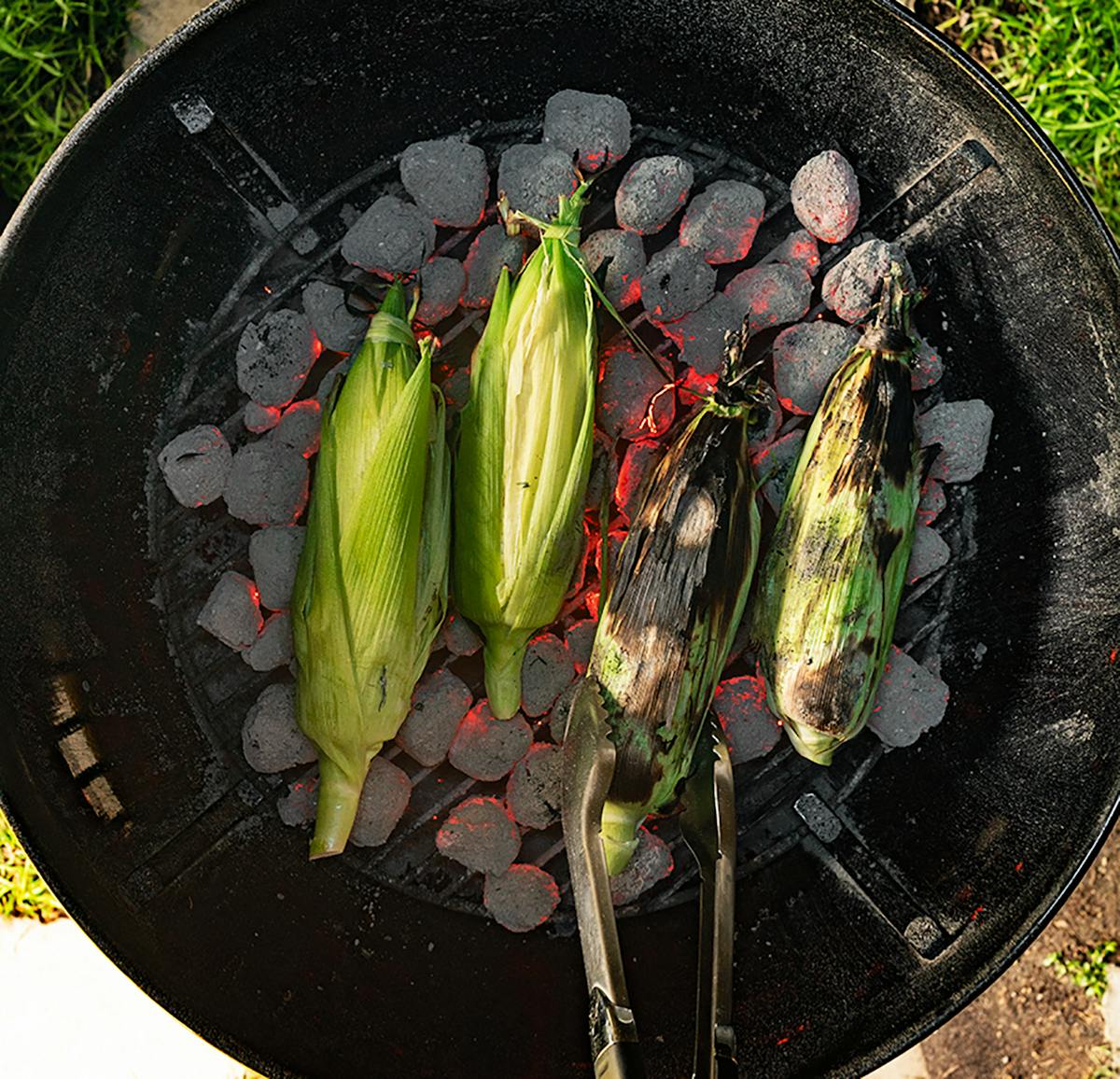 Grilling From The Garden Tips Techniques Weber Grills,Pet Snakes Black