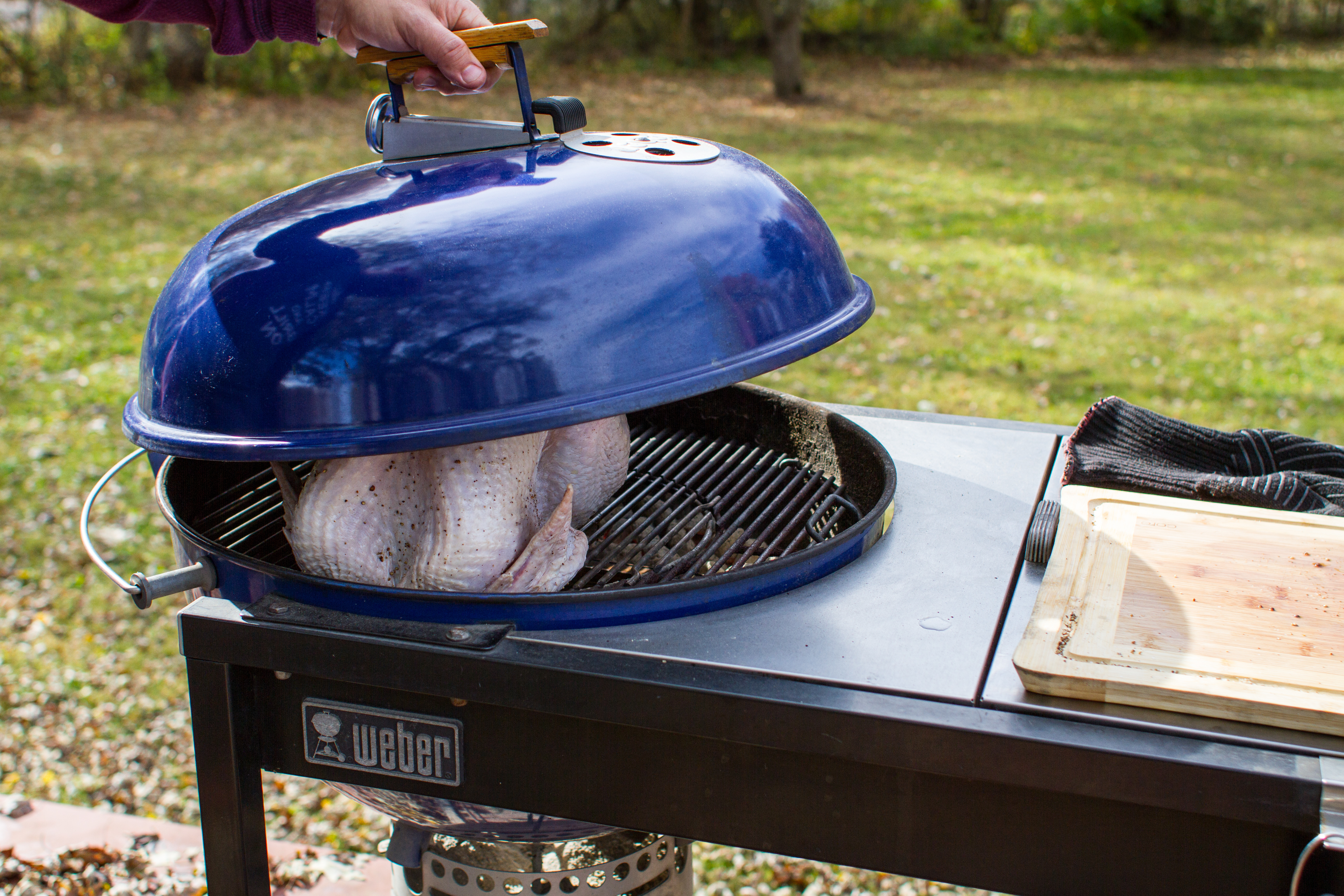 Weber gas hotsell grill turkey