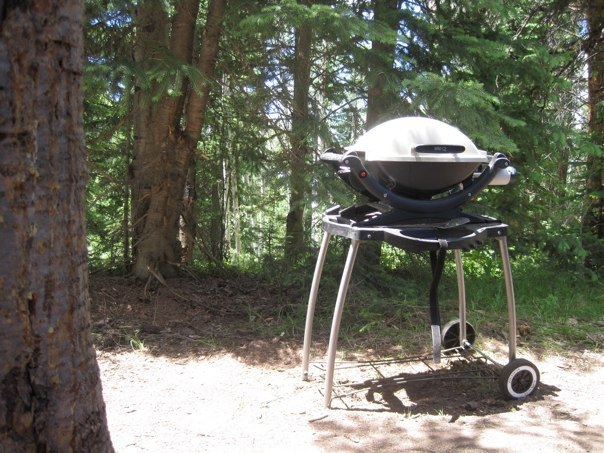 Weber q2000 with clearance stand