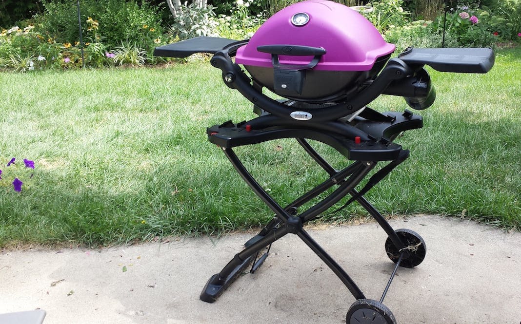 Fuel Options For The Weber Q Behind The Grill Weber Grills
