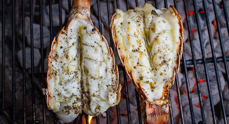 https://content-images.weber.com/content/blog/hero-images/595e909421142_Grilled-Lobster-Tail_1000.jpg?auto=compress,format&w=742&h=434