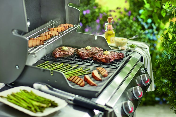 Get Grillmaster Grill Marks with the Genesis II Sear Grate, Burning  Questions