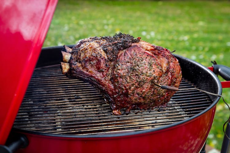 4 Easy Steps To Grilling A Holiday Rib Roast Grilling Inspiration Weber Grills,Chinchilla Toys
