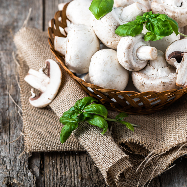I Stock Champignons 841940808