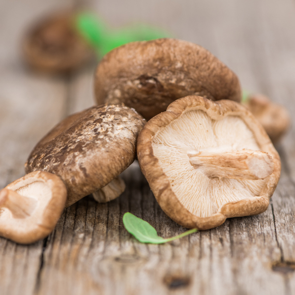 I Stock Shiitake 859921608