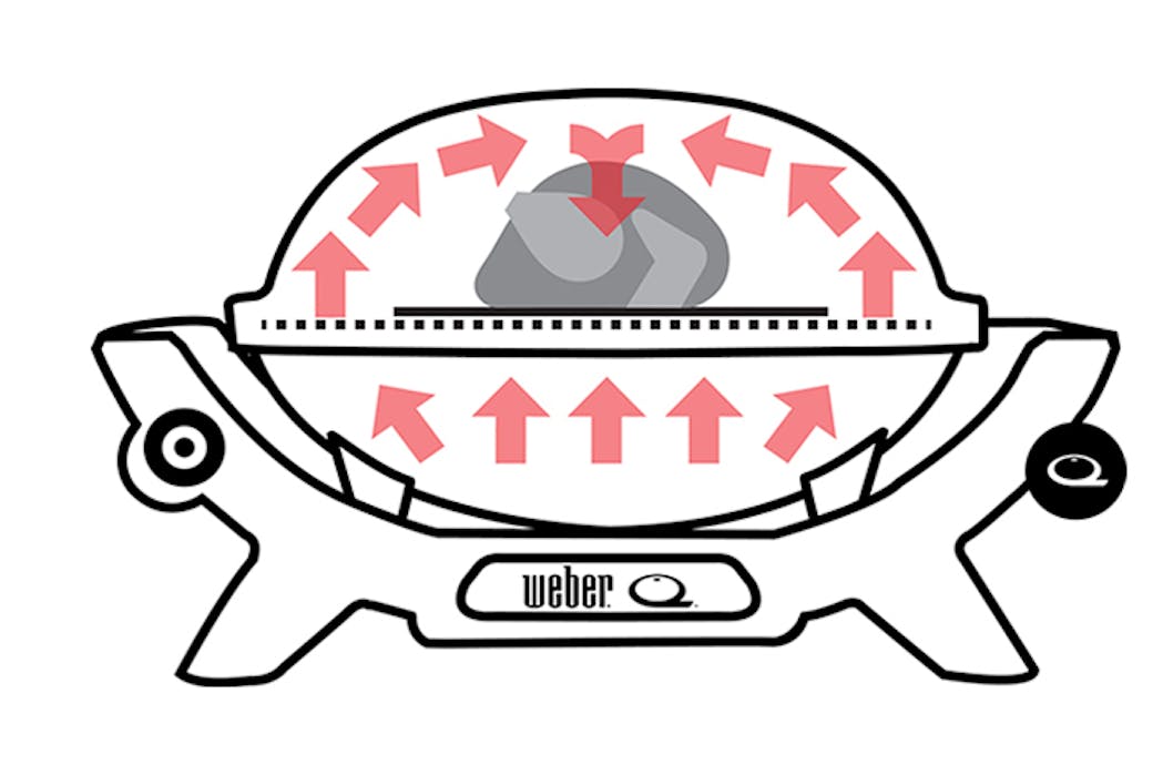 Indirect Cooking Weber Q 1