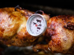 Kerntemperatur mit Grillthermometer ermitteln