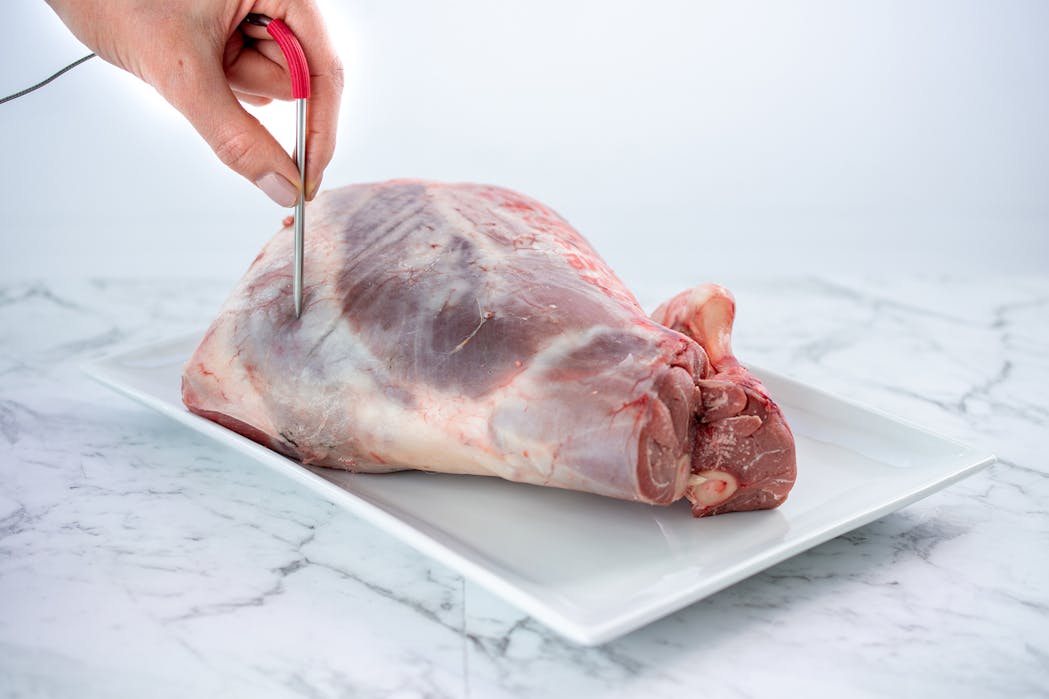 Leg Roast Probe 1