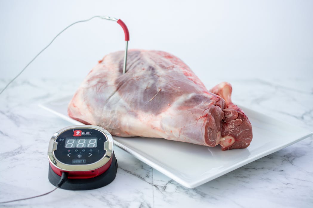 Leg Roast Probe 3
