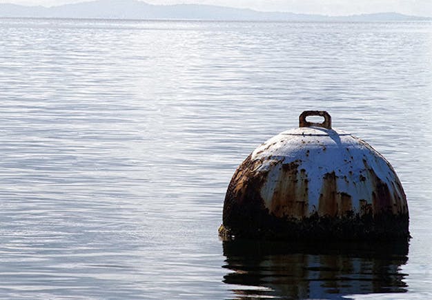 How a humble buoy took over the world