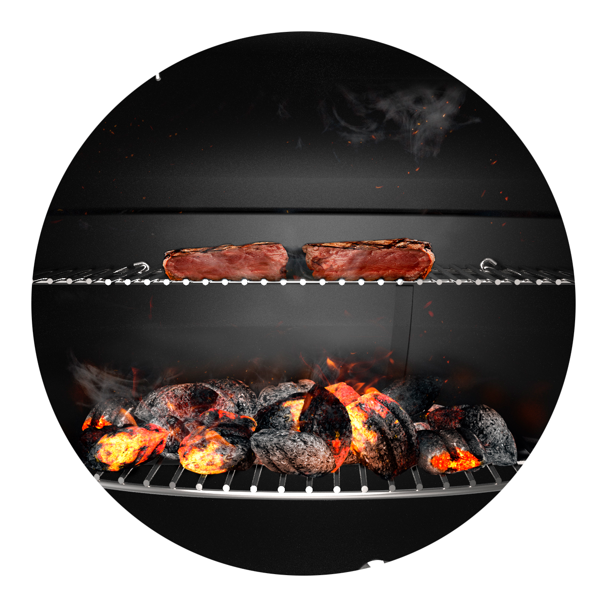 Methods Grilling Transparent