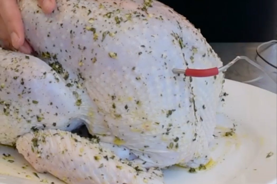 Turkey With Thermometer