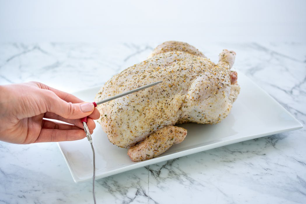 Whole Chicken Probe 1