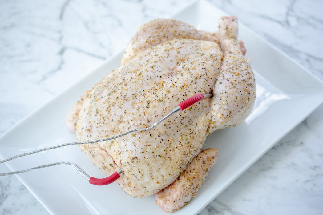 Whole Chicken Probe 3