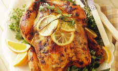 20151023095404 Row Poultry 8 750X750