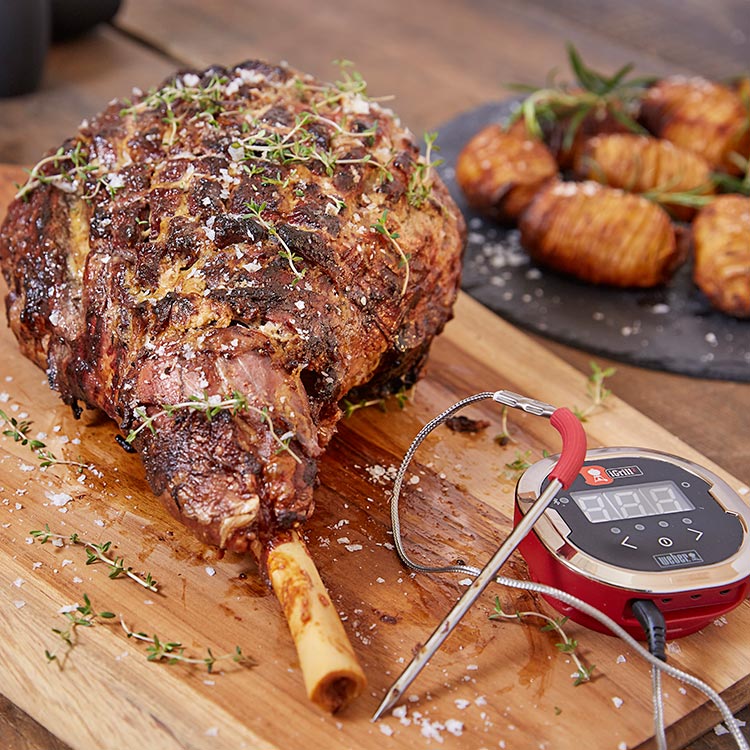 2017 03 23  Webergrill0990 750X750