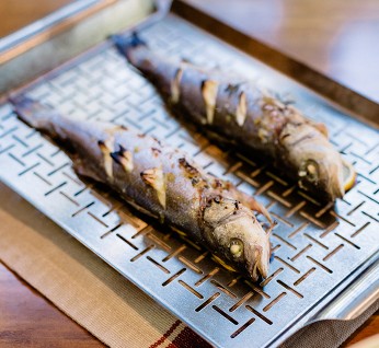 Aldo  Sea  Bass1 346X318