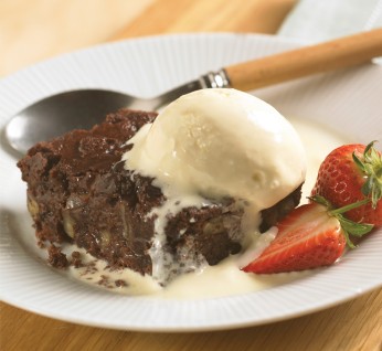 Choccie  Brownie 346X318