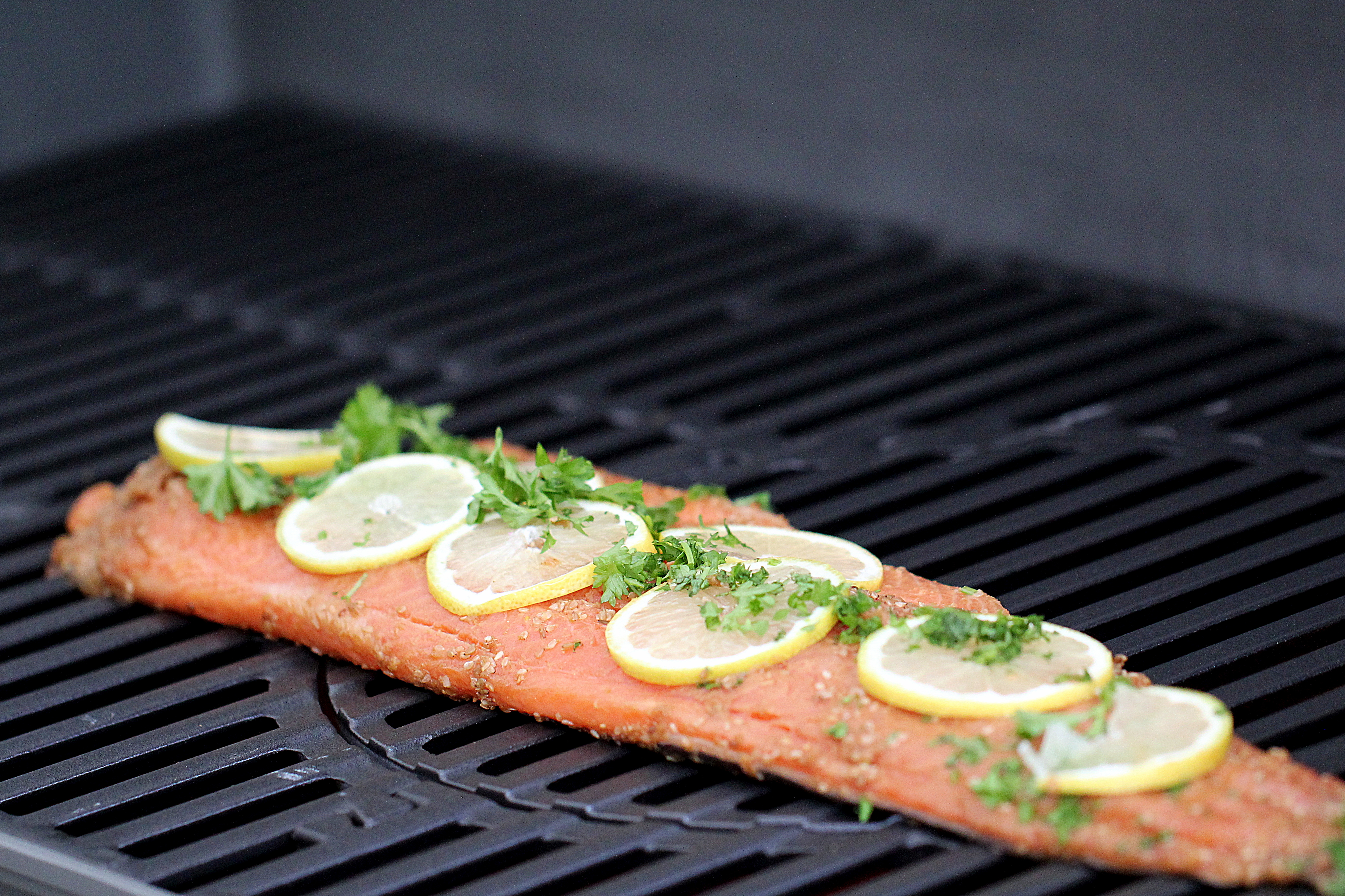 Grillet Lakseside Weber 3