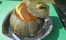 Zucca In Ember Roasting Con Formaggio
