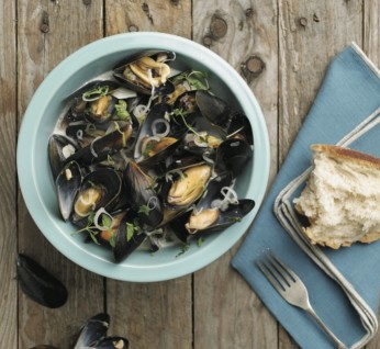 Moule  Mariere Copy E1454414864761 346X318