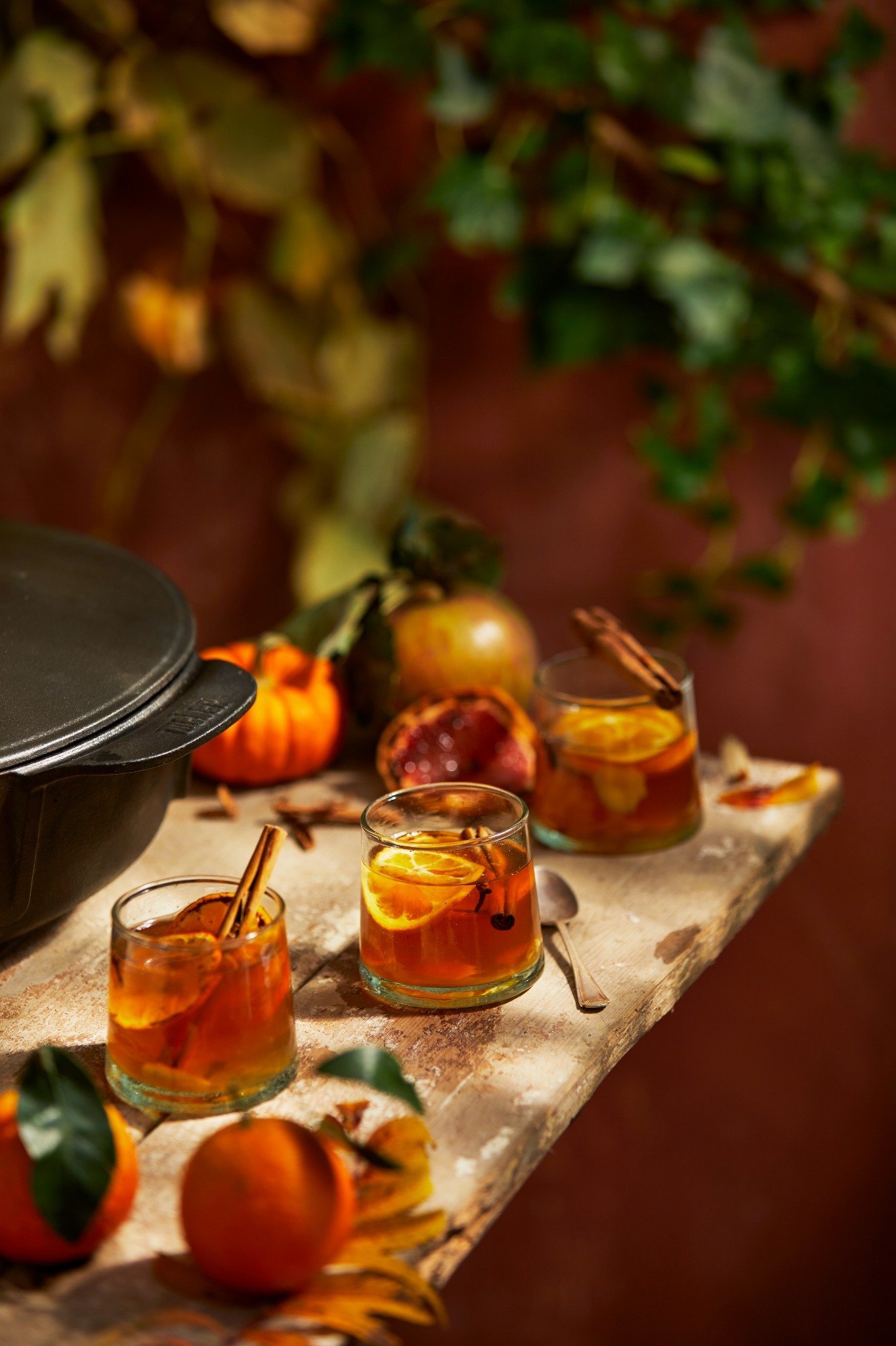 Mulled Cider Compressed