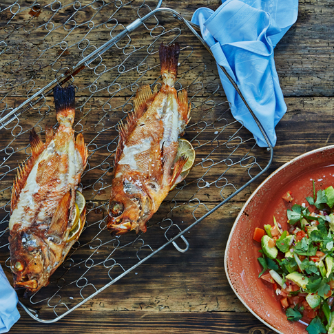 Q  Zeebaarsavocadosalso 485X485