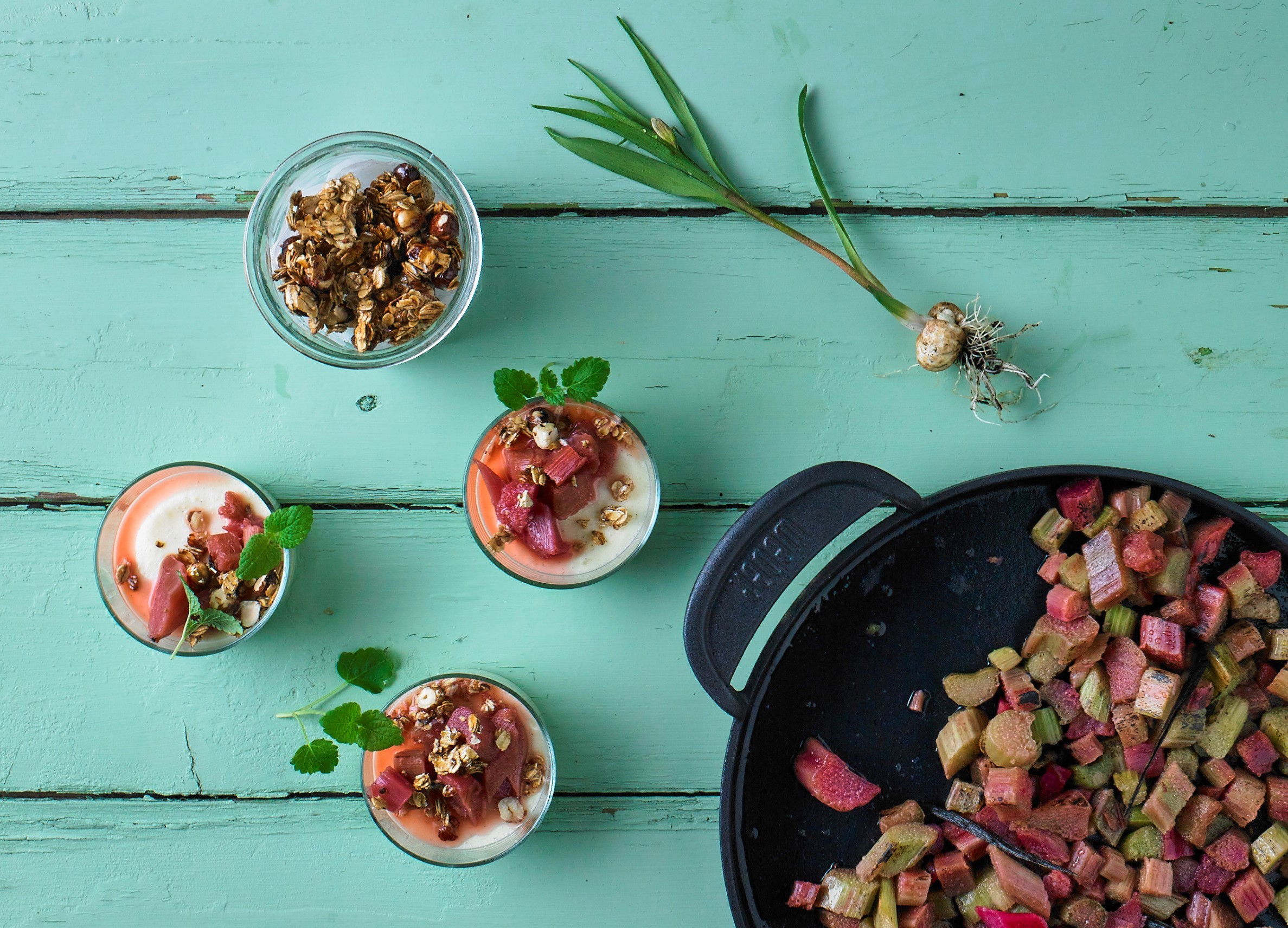 Rhabarber Mit Zitronen Mousse Und Haselnuss Crunch 1