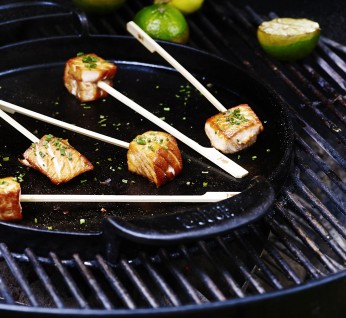 Salmon  Lolly 346X318