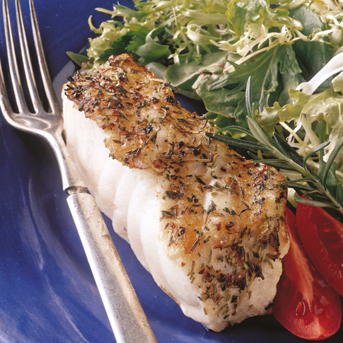 Zuiderse Zeebaars 485X485