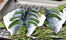 Branzino Alla Salvia Su Letto Di Aromi