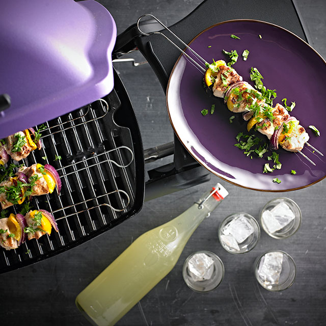 Kipspiesen met koriander en groenten