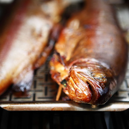 Geraeucherte Lachsforelle 441X441Px