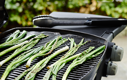 Grillede Foraarsloeg