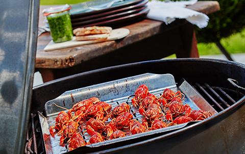 Grillede Krebs Med Frisk Limepesto