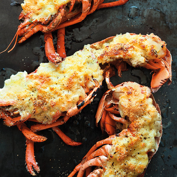 Homard Thermidor Tradition Italienne