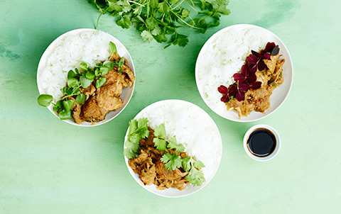 Kevyesti Paistettua Possua Riisin Kera