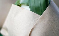 Kuala Lumpur Nasi Lemak 920X500 750X750