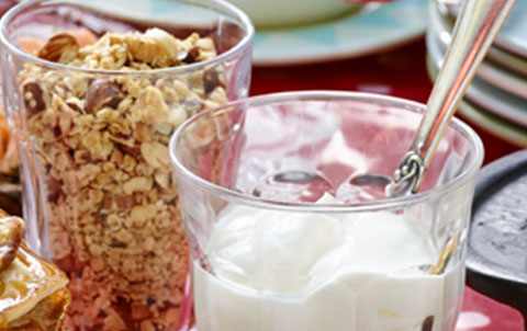 Norway Mysli(480X302)1